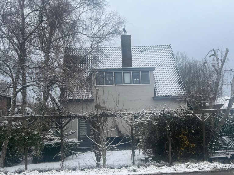 WhatsApp Image 2026-01-29 at 10.40